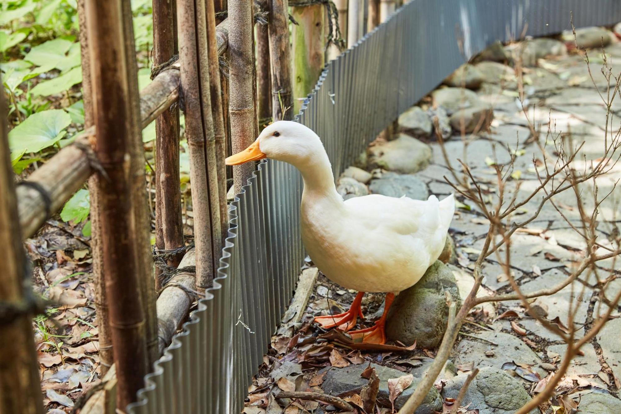 ホテル 花のおもてなし 南楽 静岡市 エクステリア 写真